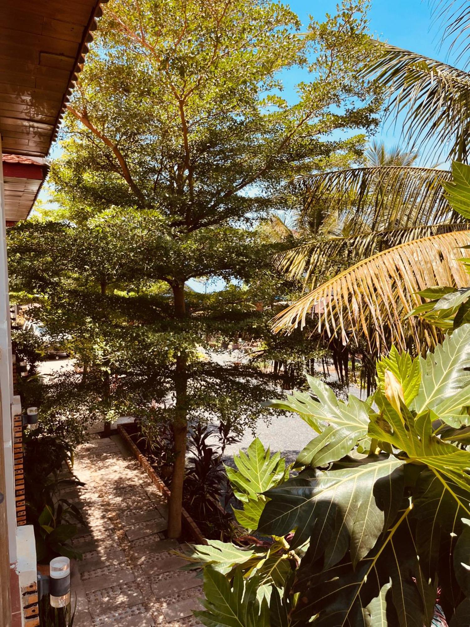 Coconut Lodge Kampot Exterior photo