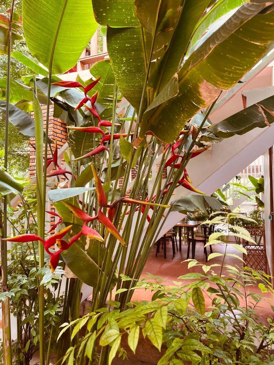 Coconut Lodge Kampot Exterior photo