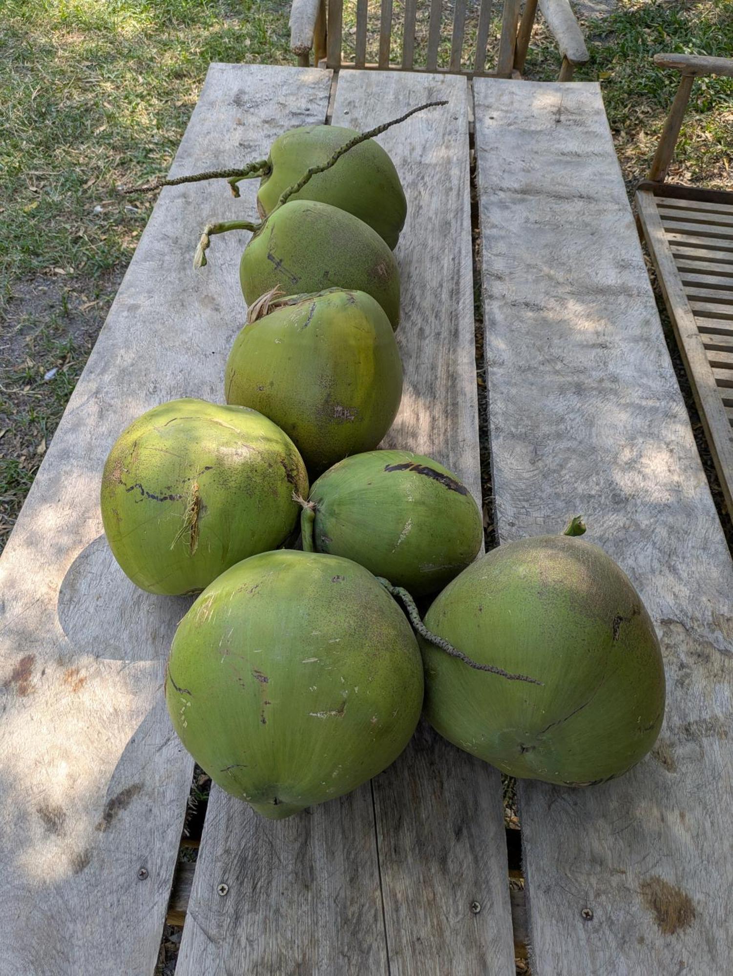 Coconut Lodge Kampot Exterior photo