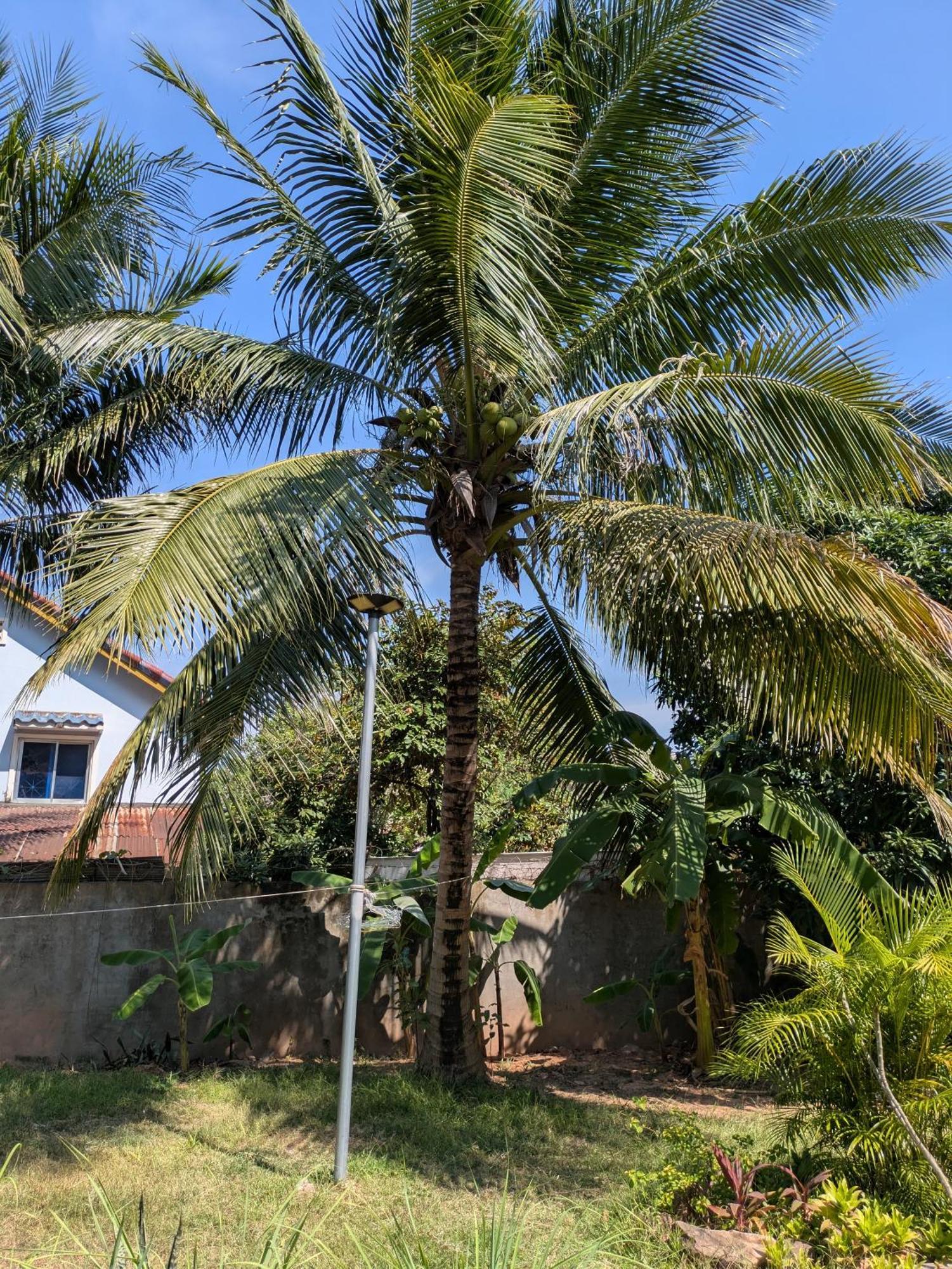 Coconut Lodge Kampot Exterior photo